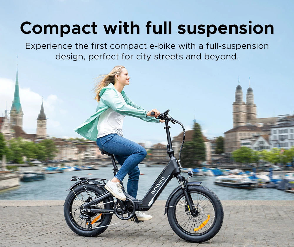 Electric Bicycle 13.5Ah 48V 250W Motor Recommended Top Speed 25KM/H 20 Inches Tire Electric Bike 135km Mileage Max Load 150Kg