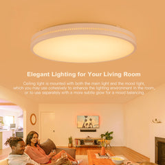AC220-240V 36W 420mm Ceiling Lamp Bedroom Kitchen LED Ceiling Light RGB Dimming APP WIFI Voice Control