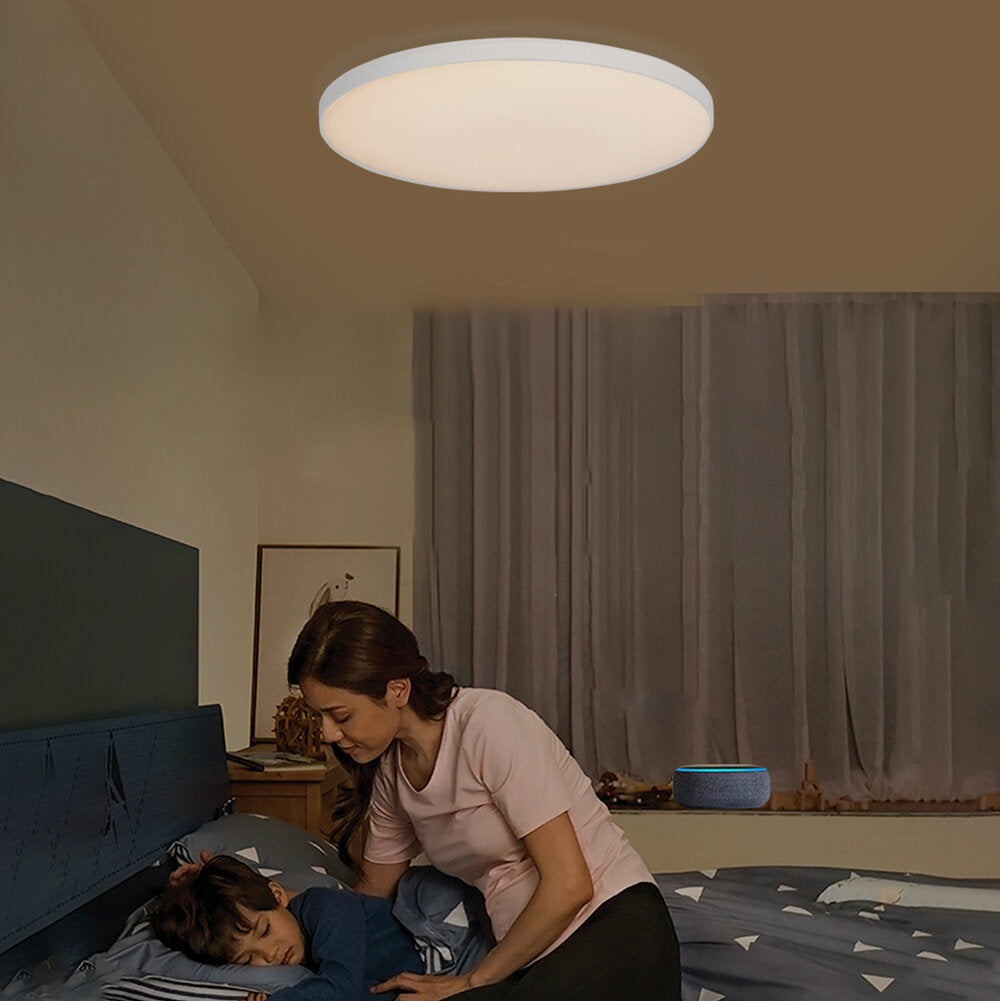 Smart Ceiling Light 30W RGB LED Ceiling Lamp Wifi APP Voice Control With Alexa Lights For Living Room Decoration Bedroom