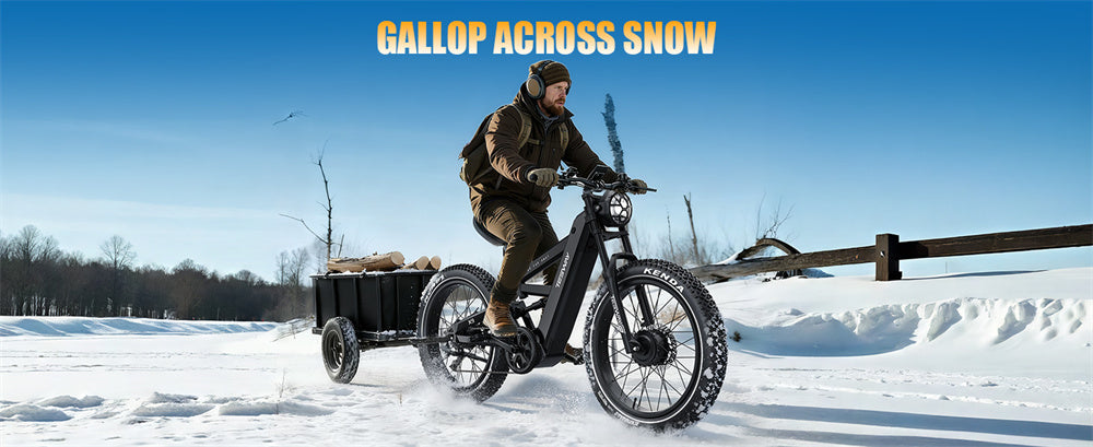 Electric Bike 48V 30AH Battery 2400W(Peak 4000W) Motor Recommended Top Speed 25KM/H 26 Inch Tire Electric Bicycle 190 KM Mileage Range Max Load 180KG