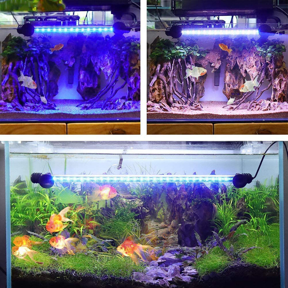 Submersible LED Aquarium Light,Tank Light with Timer Dimming Function,3 Light Modes Dimmable Blue&White&White-Blue EU Plug