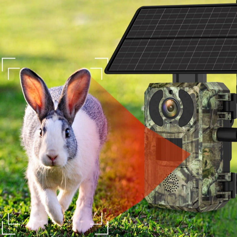 4MP 1440P 4G Wildlife Camera with Solar Panel, PIR Motion Sensor, Waterproof, Night Vision for Hunting and Trail Use