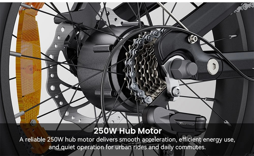 Electric Bicycle 13.5Ah 48V 250W Motor Recommended Top Speed 25KM/H 20 Inches Tire Electric Bike 135km Mileage Max Load 150Kg