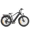 48V 16Ah Electric Bike, 250W Motor, 25KM/H Top Speed, 26*4.0 Inch Fat Tire, 120-140KM Range, All-Terrain Mountain E-Bike