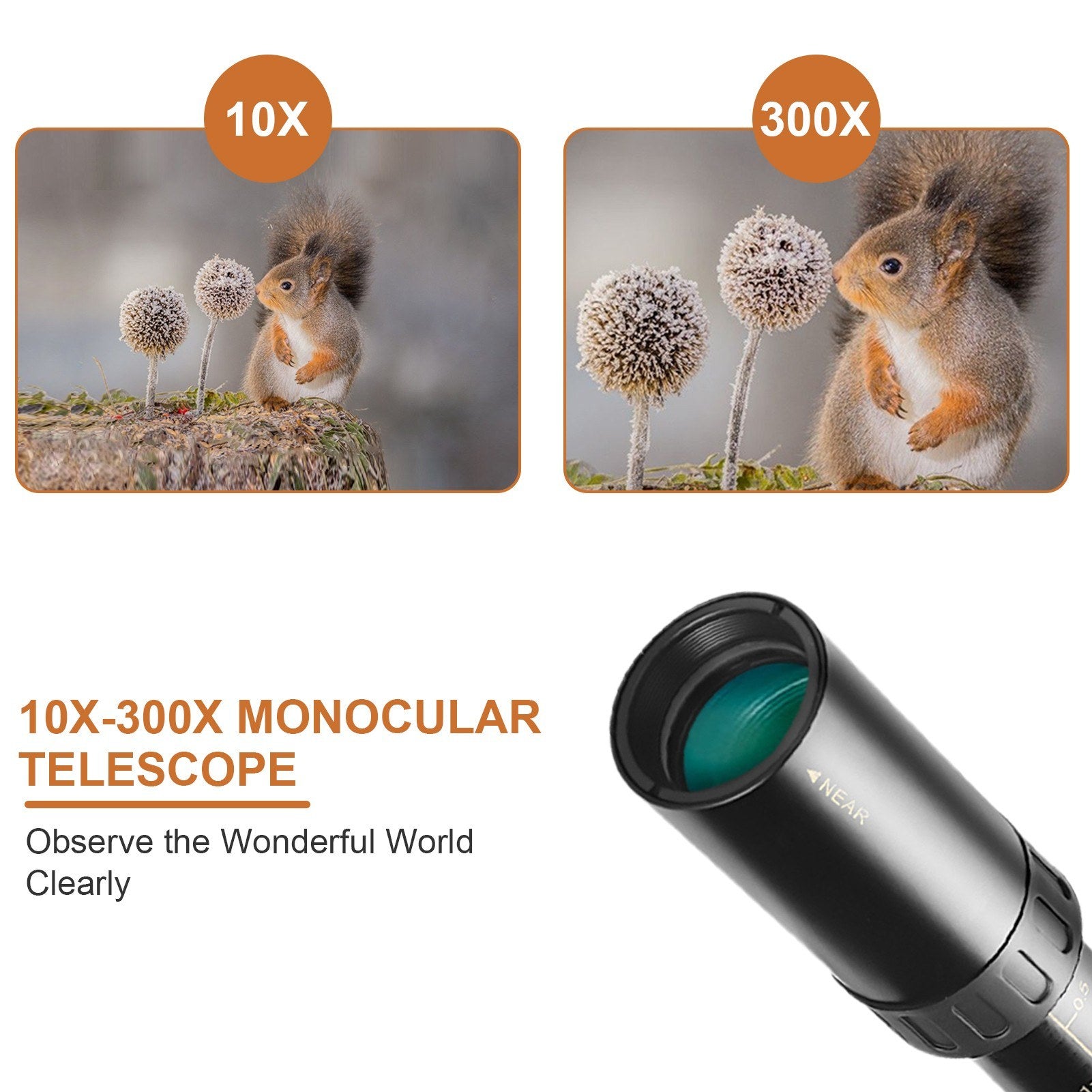 10X-300X Mini Monocular Telescope BAK4 Prisms Life Water-resistant with Phone Holder Mini Tripod Stand Carry Bag for Watching Scenery Bird Wildlife Concert Sports Events