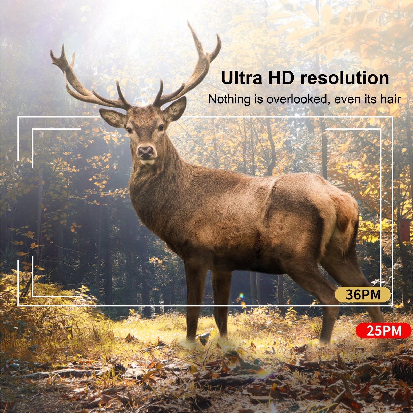 30MP 4K Trail Camera Hunting Camera 2 Inch IPS LCD Color Screen 48 Infrared LED Lights