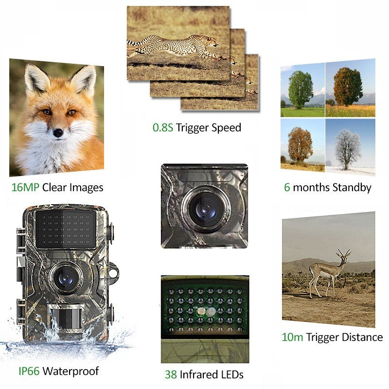16MP 1080P Wildlife Hunting Trail and Game Camera Motion Activated IP66 Waterproof Infrared Night Vision Hunting Scouting Camera