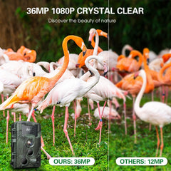 36MP 1080P Night Vision Trail Camera Waterproof Infrared Motion Camera