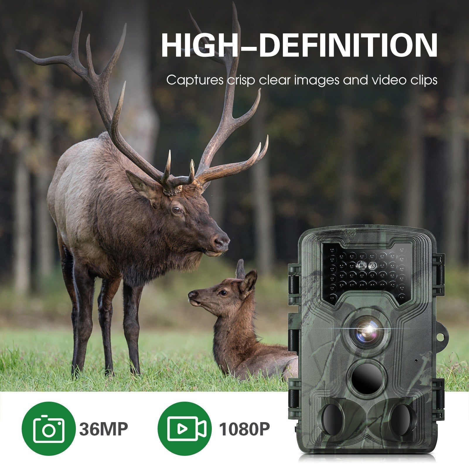 36MP 1080P Night Vision Trail Camera Waterproof Infrared Motion Camera