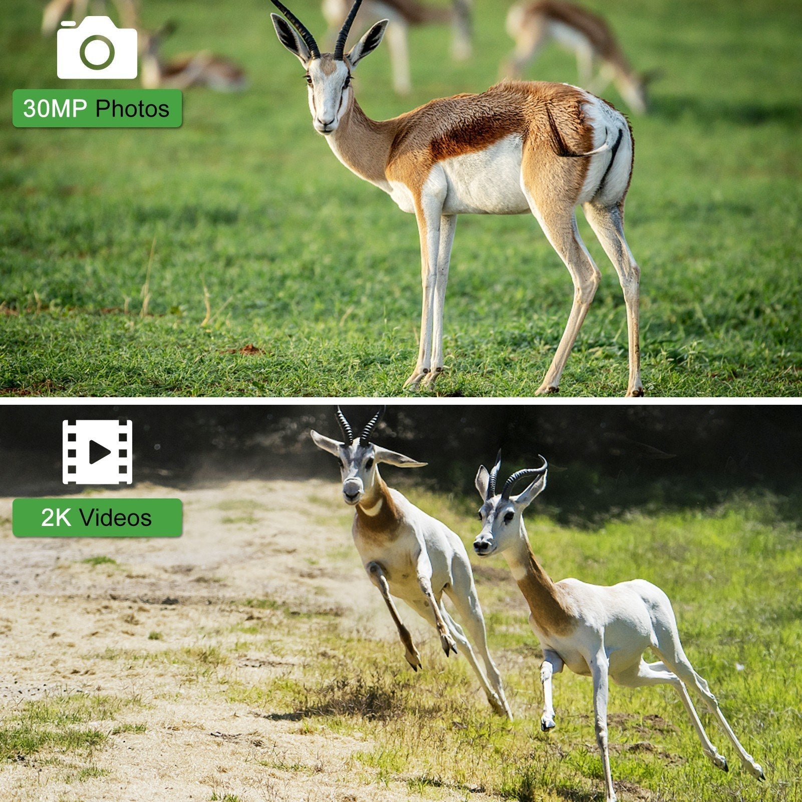 4G/LTE Hunting Camera Wireless 30MP Trail and Game Camera Outdoor Infrared Night Vision Wildlife Animal Scouting Farm Security Camera