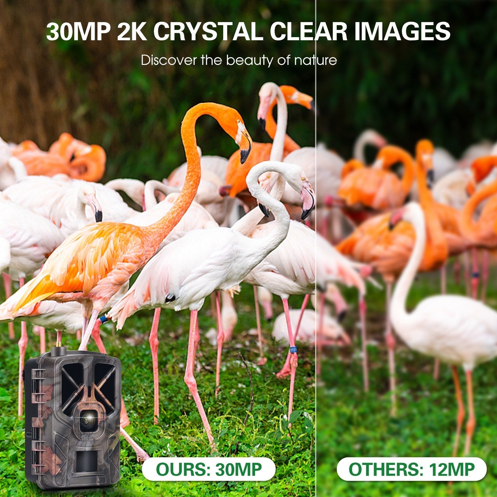 4G/LTE Hunting Camera Wireless 30MP Trail and Game Camera Outdoor Infrared Night Vision Wildlife Animal Scouting Farm Security Camera