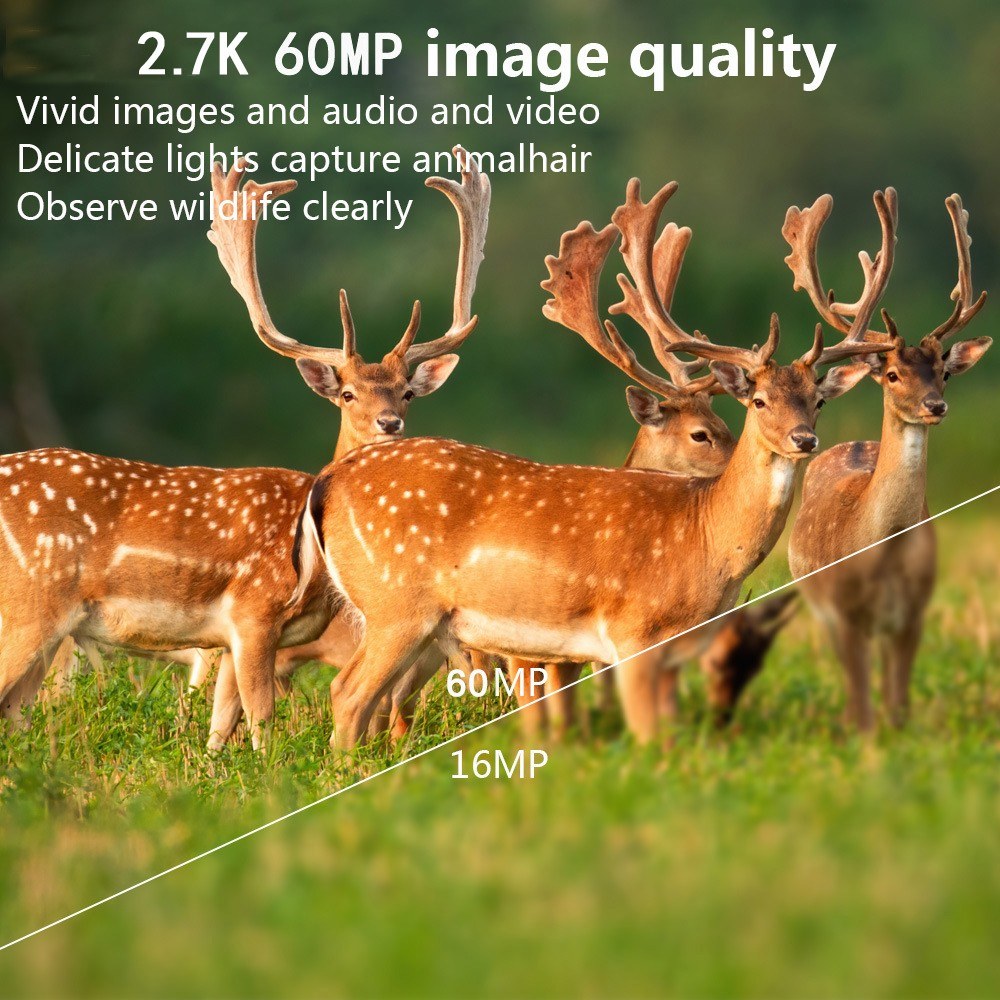 2.7K 60MP Trail Camera Night Vision Waterproof Hunting Camera with 2 Inch Screen for Outdoor Wildlife Monitoring