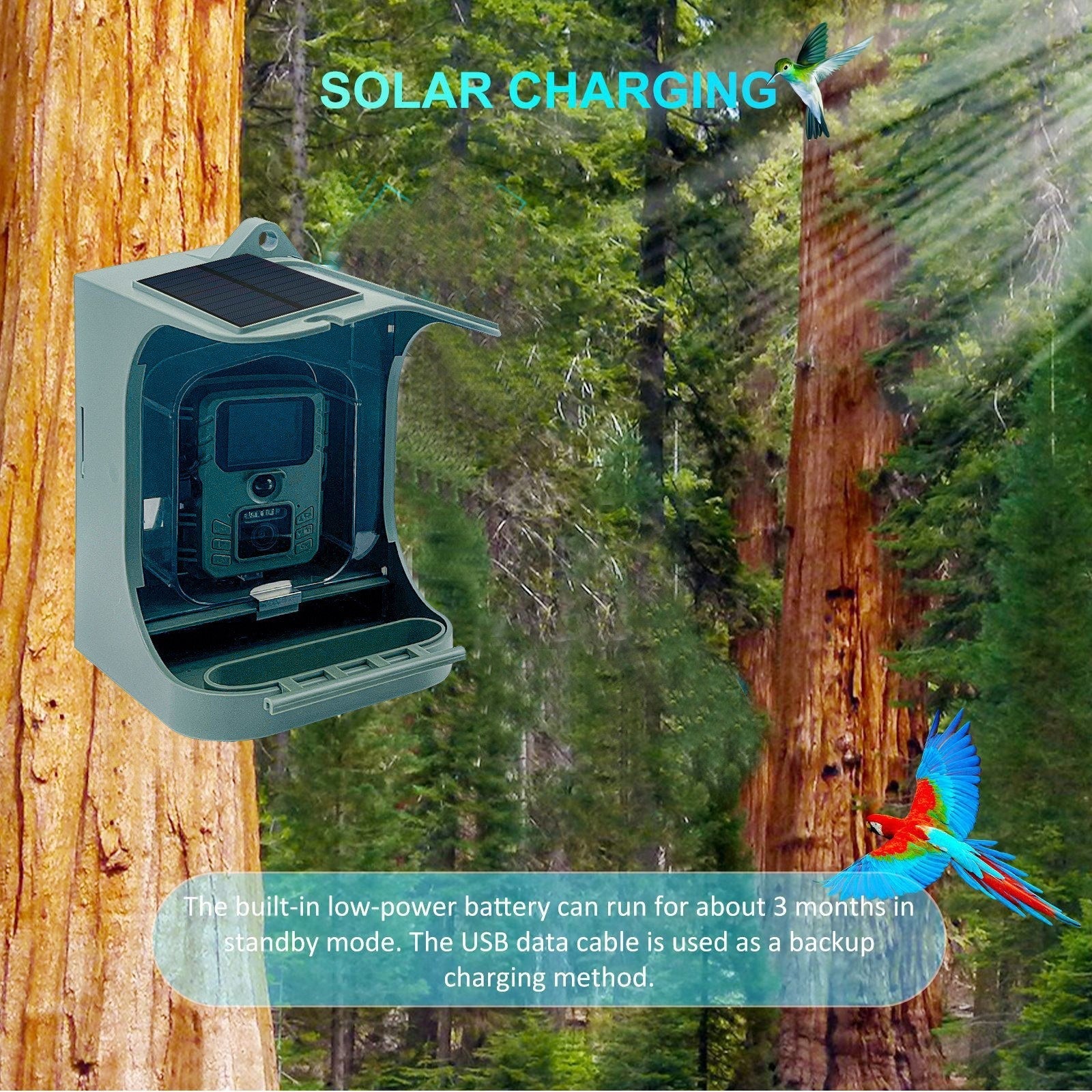 Solar Powered 1080P Wireless WiFi Smart Bird Feeder Camera Waterproof Bird Watching Camera