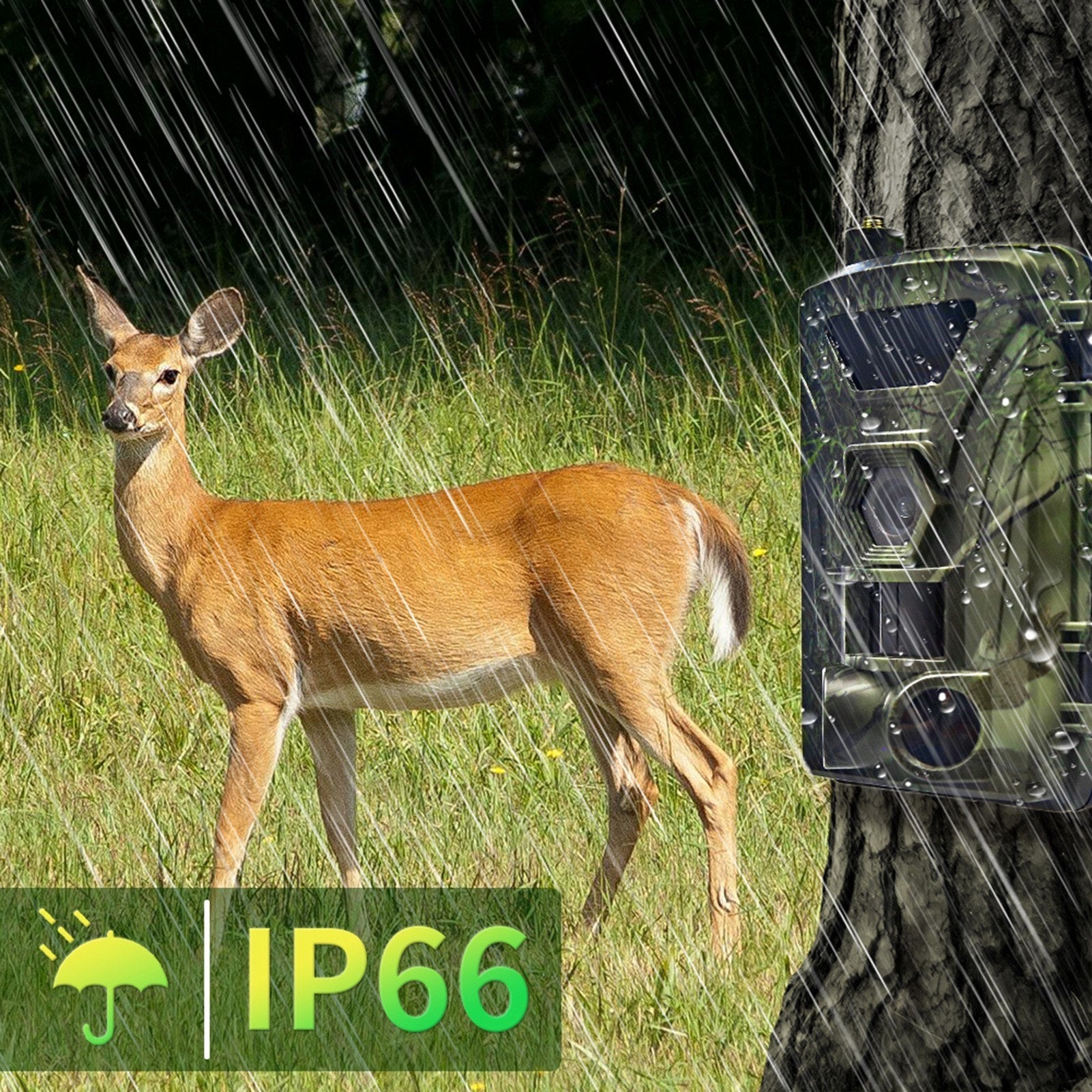4G Trail Camera 4K Hunting Camera with SIM Card 60MP Photos Fast Trigger Wildlife Camera Infrared Camera Night Vision Camera