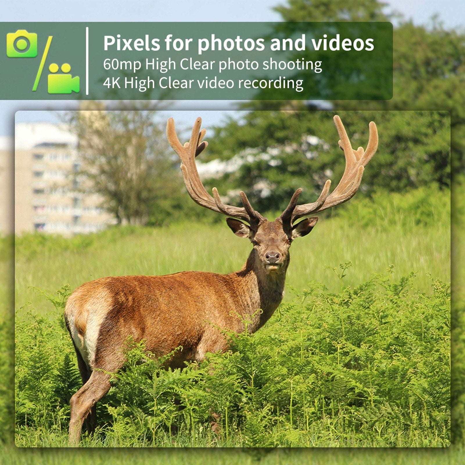 4G Trail Camera 4K Hunting Camera with SIM Card 60MP Photos Fast Trigger Wildlife Camera Infrared Camera Night Vision Camera