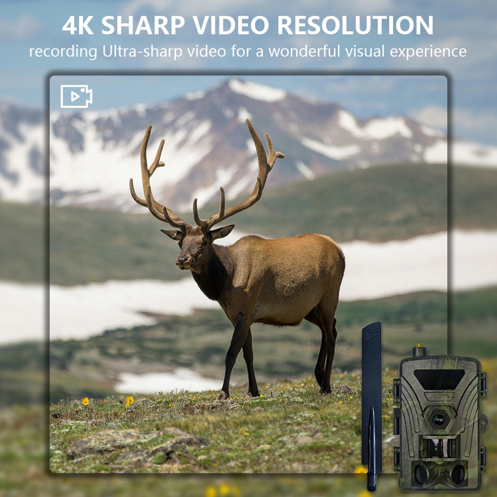 4G Trail Camera 4K Hunting Camera with SIM Card 60MP Photos Fast Trigger Wildlife Camera Infrared Camera Night Vision Camera