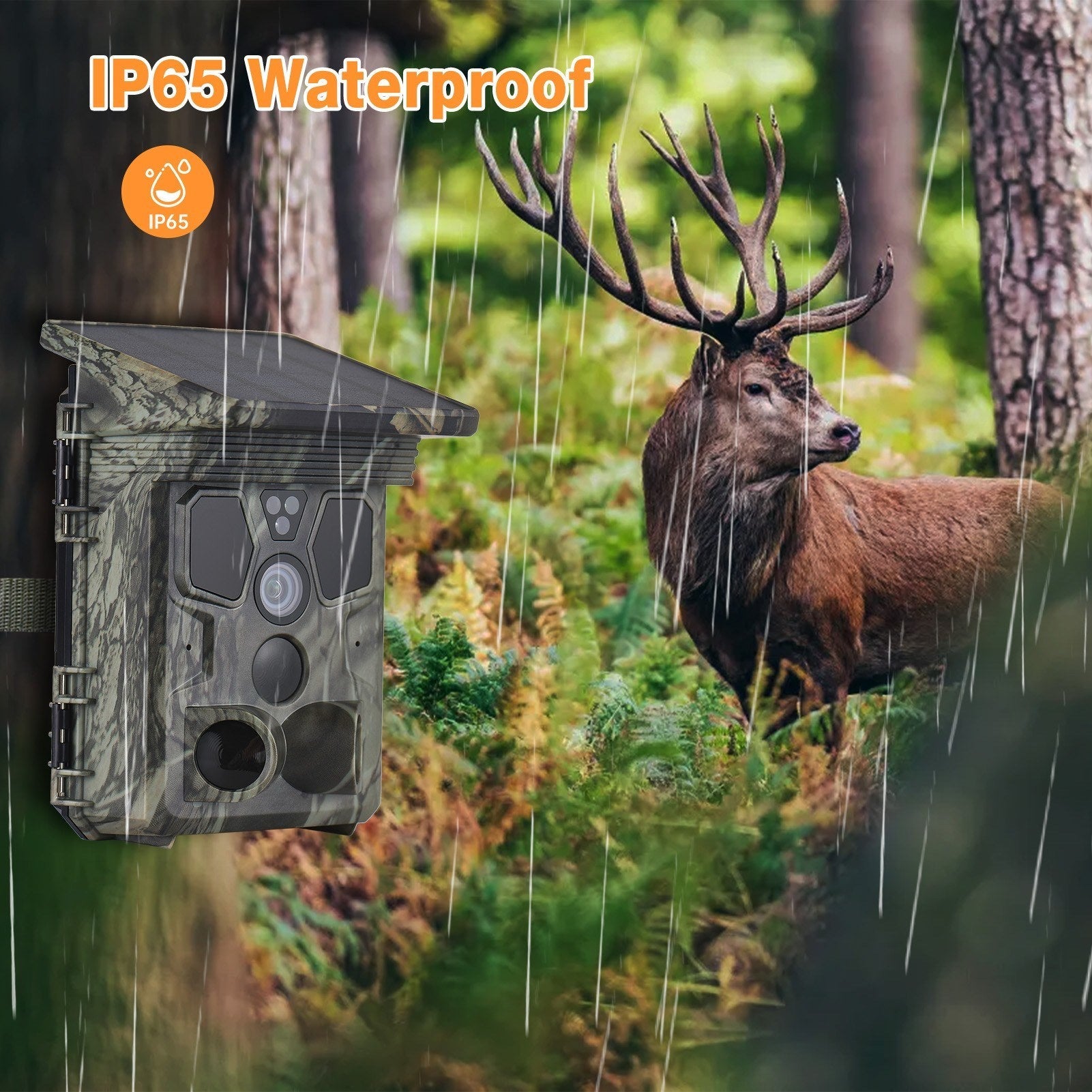 4K 50MP Solar Trail Camera 120° Detection Angle Game Camera Night Vision IP65 Waterproof Hunting Camera for Wildlife Monitoring