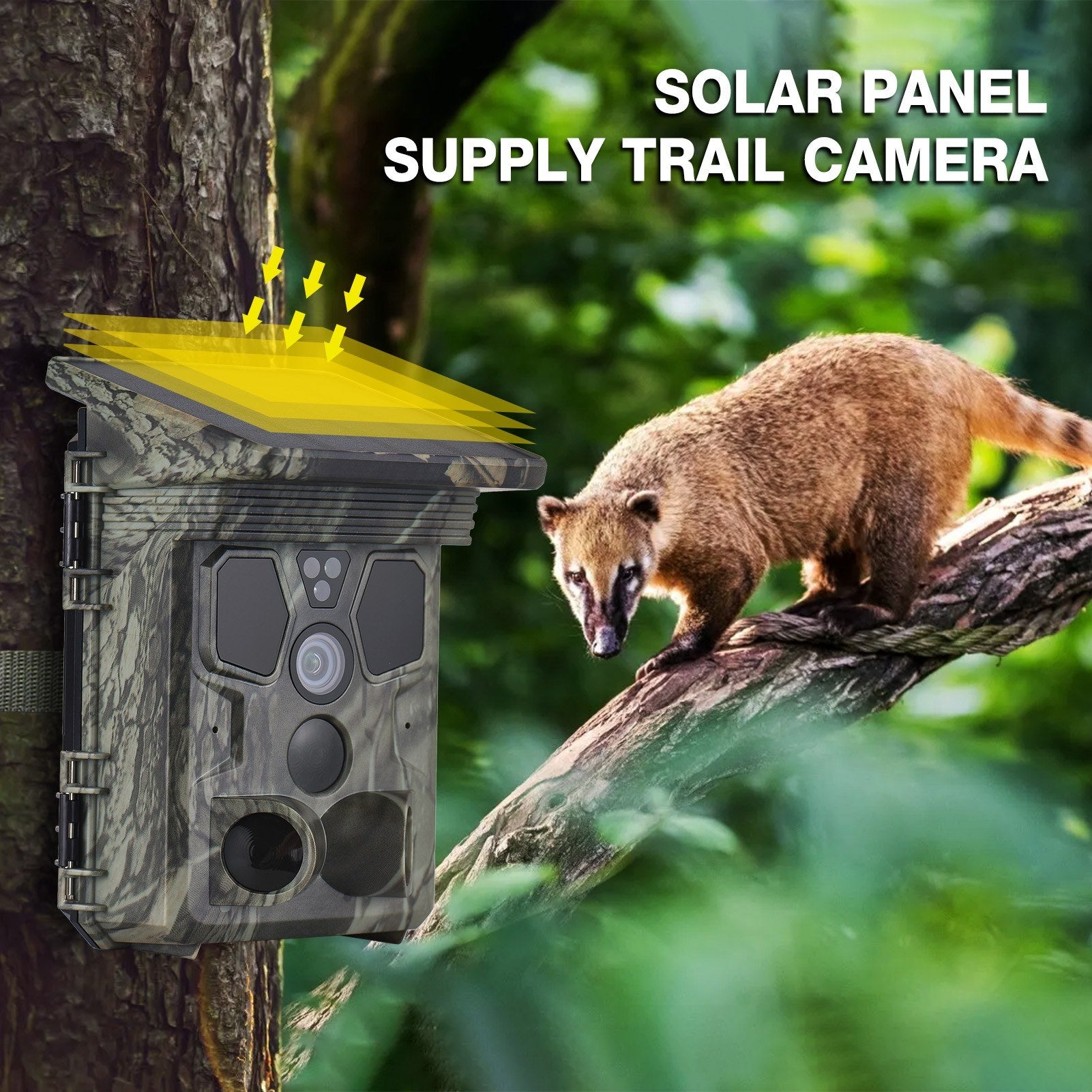 4K 50MP Solar Trail Camera 120° Detection Angle Game Camera Night Vision IP65 Waterproof Hunting Camera for Wildlife Monitoring