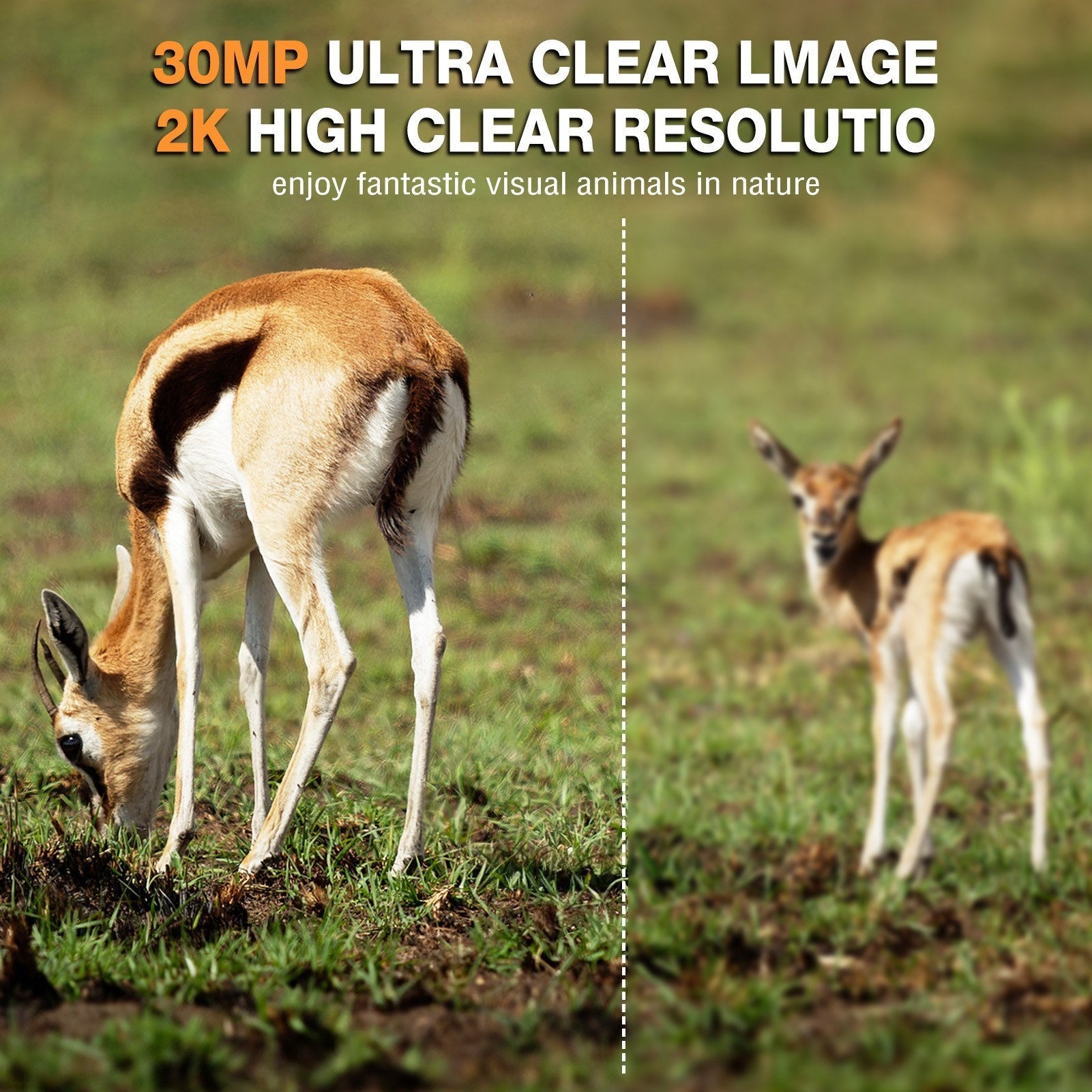 4G LTE Trail Camera Live-Streaming 2K 30MP Night Vision 0.3s Trigger Time 120° Wide Sensor Hunting Camera