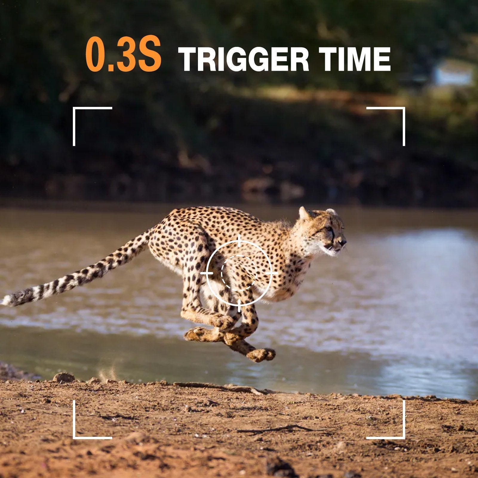 4G LTE Trail Camera Live-Streaming 2K 30MP Night Vision 0.3s Trigger Time 120° Wide Sensor Hunting Camera