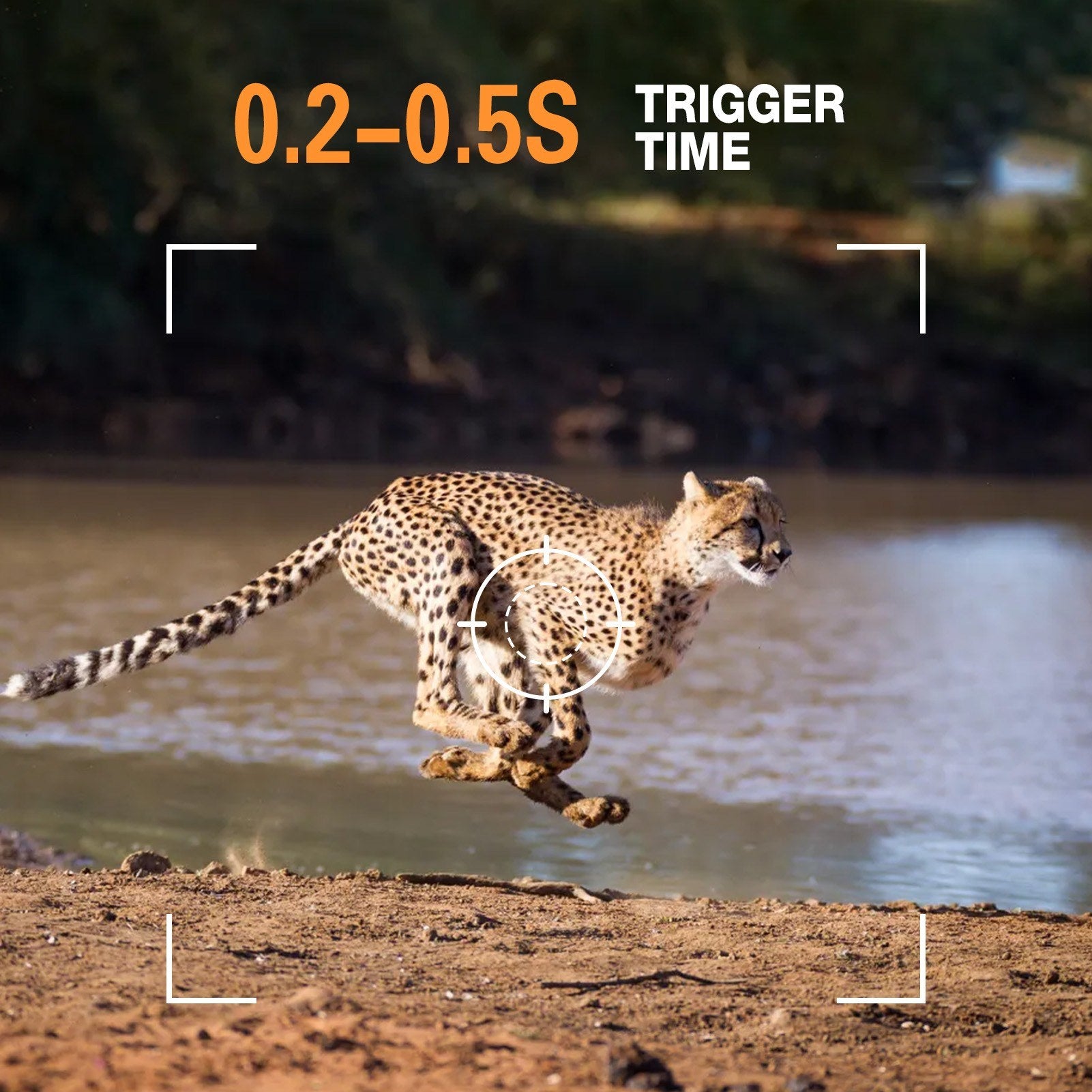 4K 50MP Trail Camera Night Vision Motion Activated Game Camera IP65 Waterproof Hunting Camera