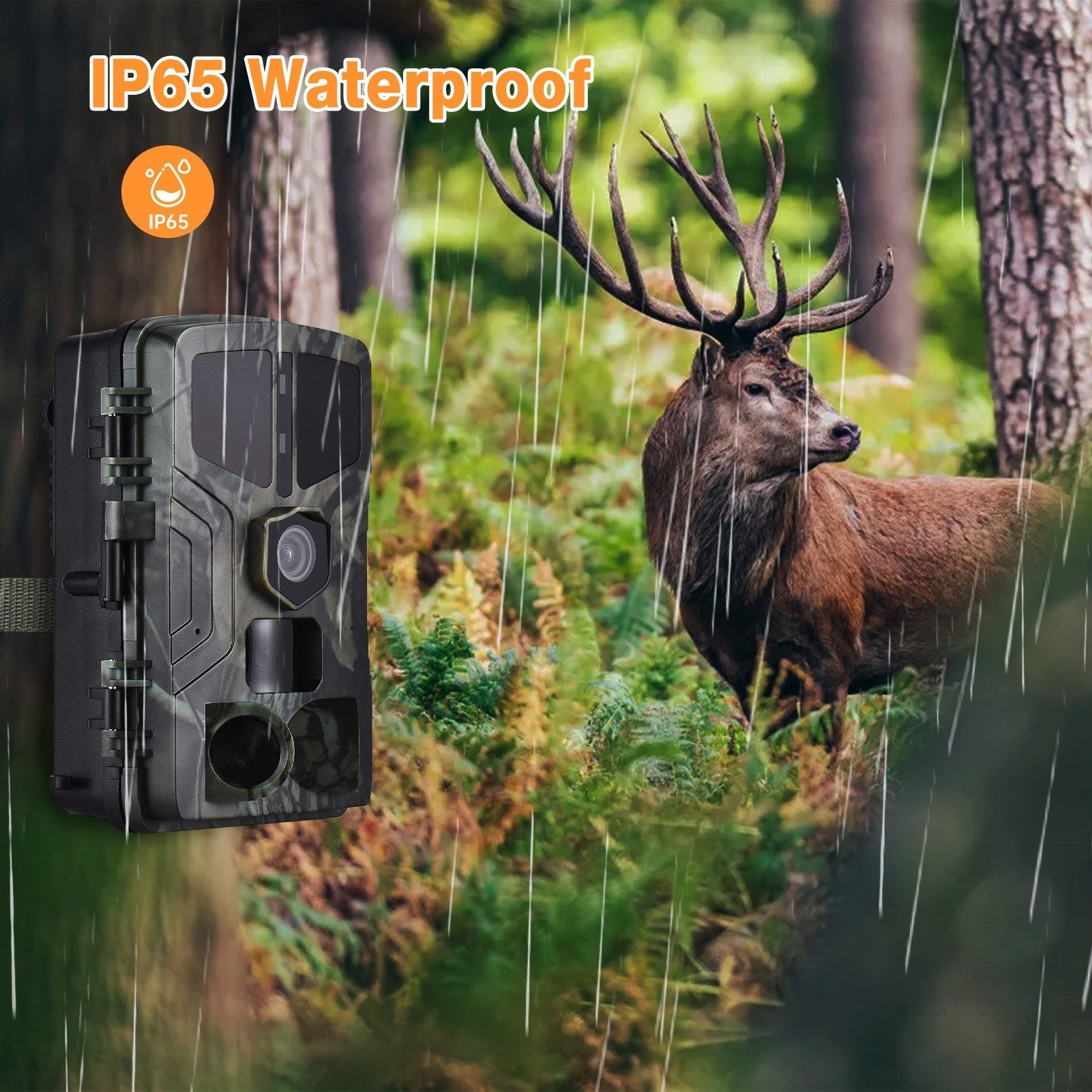 4K 50MP Trail Camera Night Vision Motion Activated Game Camera IP65 Waterproof Hunting Camera