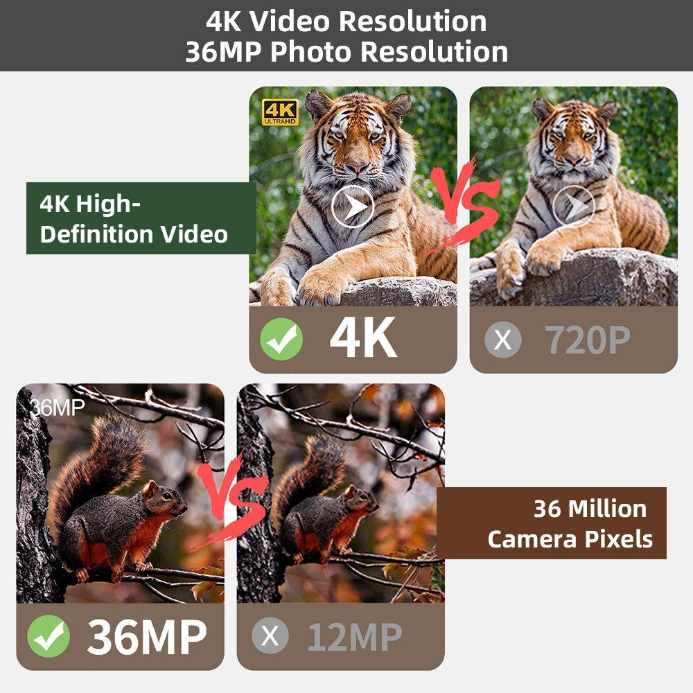 Full-Color Night Vision Binoculars Digital Infrared Telescope with 10X Optical Zoom Large Screen Waterproof Outdoors Telescopes for Hunting