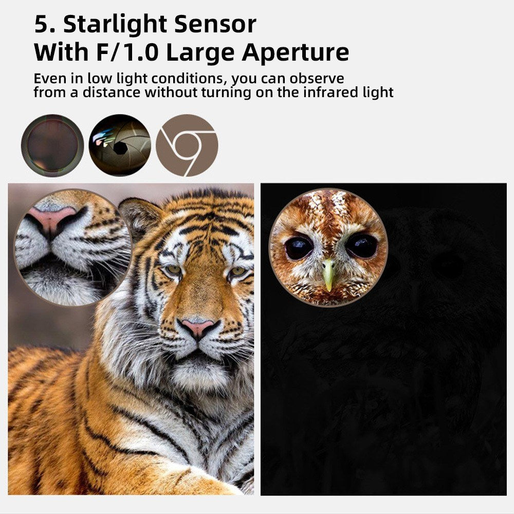 Head-Mounted Night Vision Goggles Full-Color Binoculars with 10X Zoom Large Screen Hands-Free Digital Infrared Telescope for Outdoors