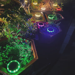 LED Solar Ground Lights Floor Decking Outdoor Garden Lawn Path Lamps Waterproof