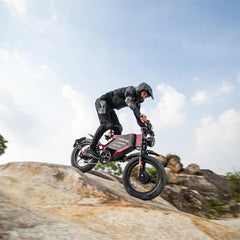 Electric Bike 48V 30AH Battery 1000W*2 Dual Motors Recommended Top Speed 25KM/H 20*4.0inch Tires 90KM Max Mileage 200KG Max Load Electric Bicycle
