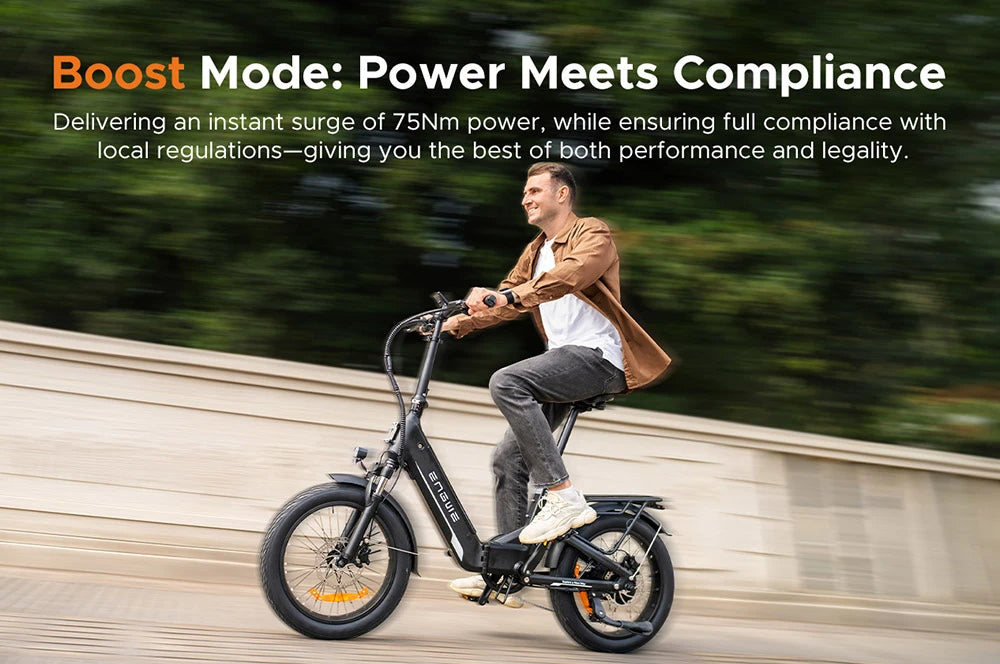 Electric Bicycle 13.5Ah 48V 250W Motor Recommended Top Speed 25KM/H 20 Inches Tire Electric Bike 135km Mileage Max Load 150Kg