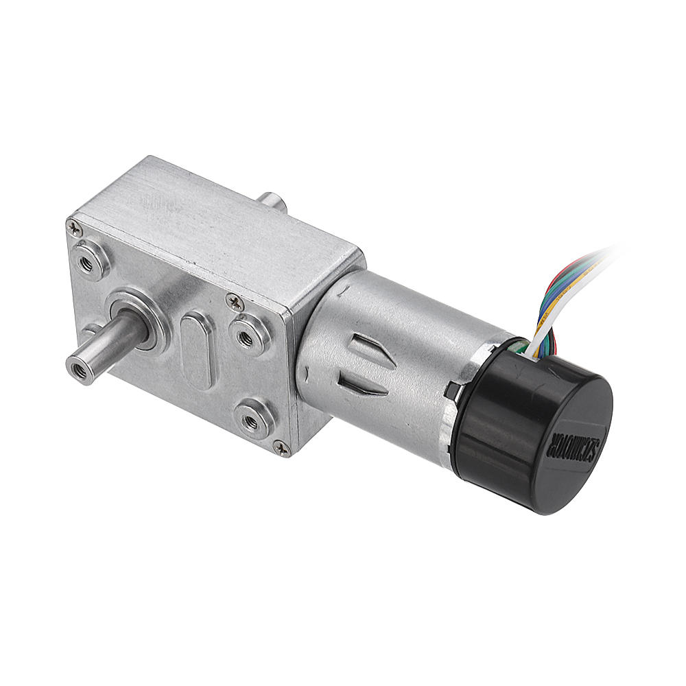 DC 24V Double Shaft Motor Reduction Gear Turbine Worm Self-locking Low Speed Motor