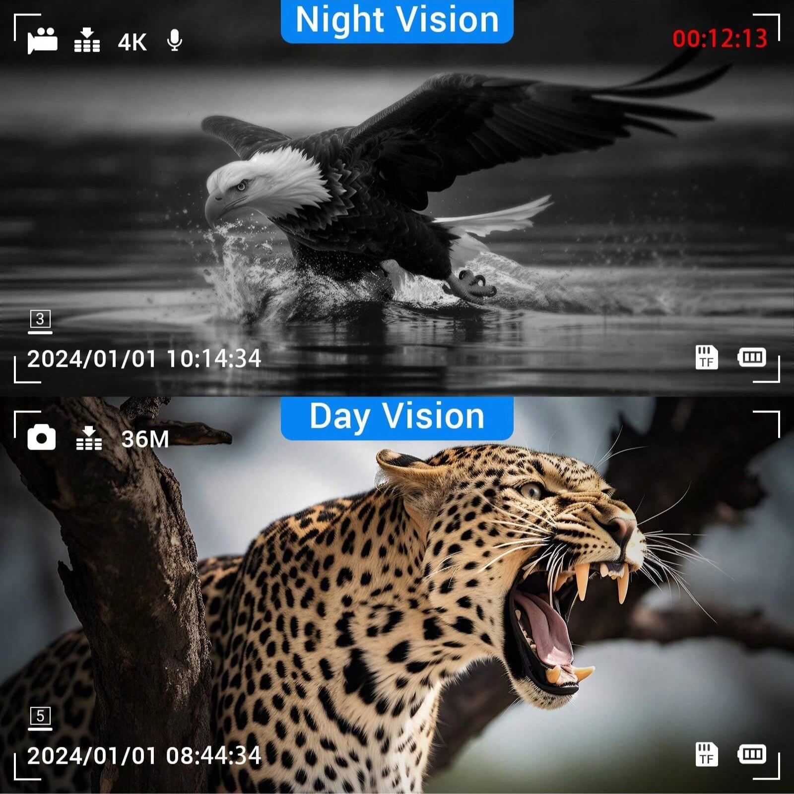 4K Night Vision Goggles with 850NM Infrared, 36MP Photos, 4K Video, 8x Zoom, 1,312ft Range, Waterproof, 32GB Card Included