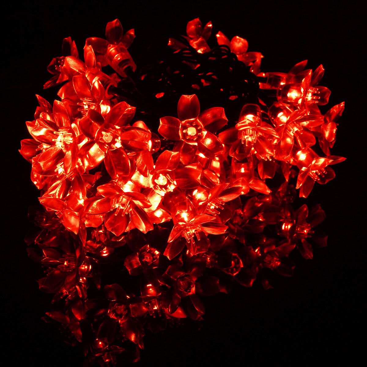 5M 50 LED Copper Wire Christmas Outdoor String Fairy Light Waterproof DC12V