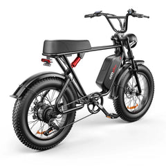 Electric Bike 48V 20AH Battery 1000W Motor Recommended Top Speed 25KM/H 20*4.0inch Tires 80KM Max Range 150KG Max Load Electric Bicycle