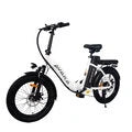 18.2Ah 48V 500W Recommended Top Speed 25KM/H Electric Bicycle Max Speed 32Km/h 20*3.0 Fat Tire 70-80km Mileage Range Max Load 120kg