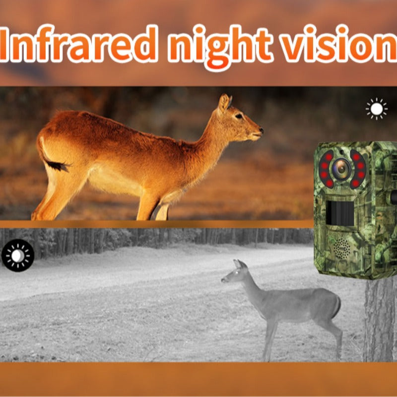 4MP 1440P 4G Wildlife Camera with Solar Panel, PIR Motion Sensor, Waterproof, Night Vision for Hunting and Trail Use