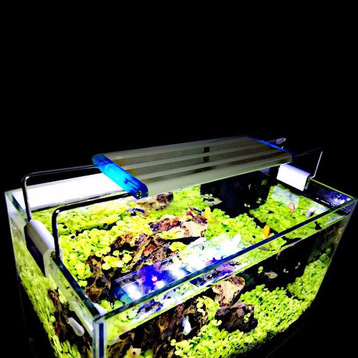Super Slim LEDs Aquarium Light Aquatic Plant Light 20-60CM Extensible Waterproof Clip on Lamp For Fish Tank Blue White Light