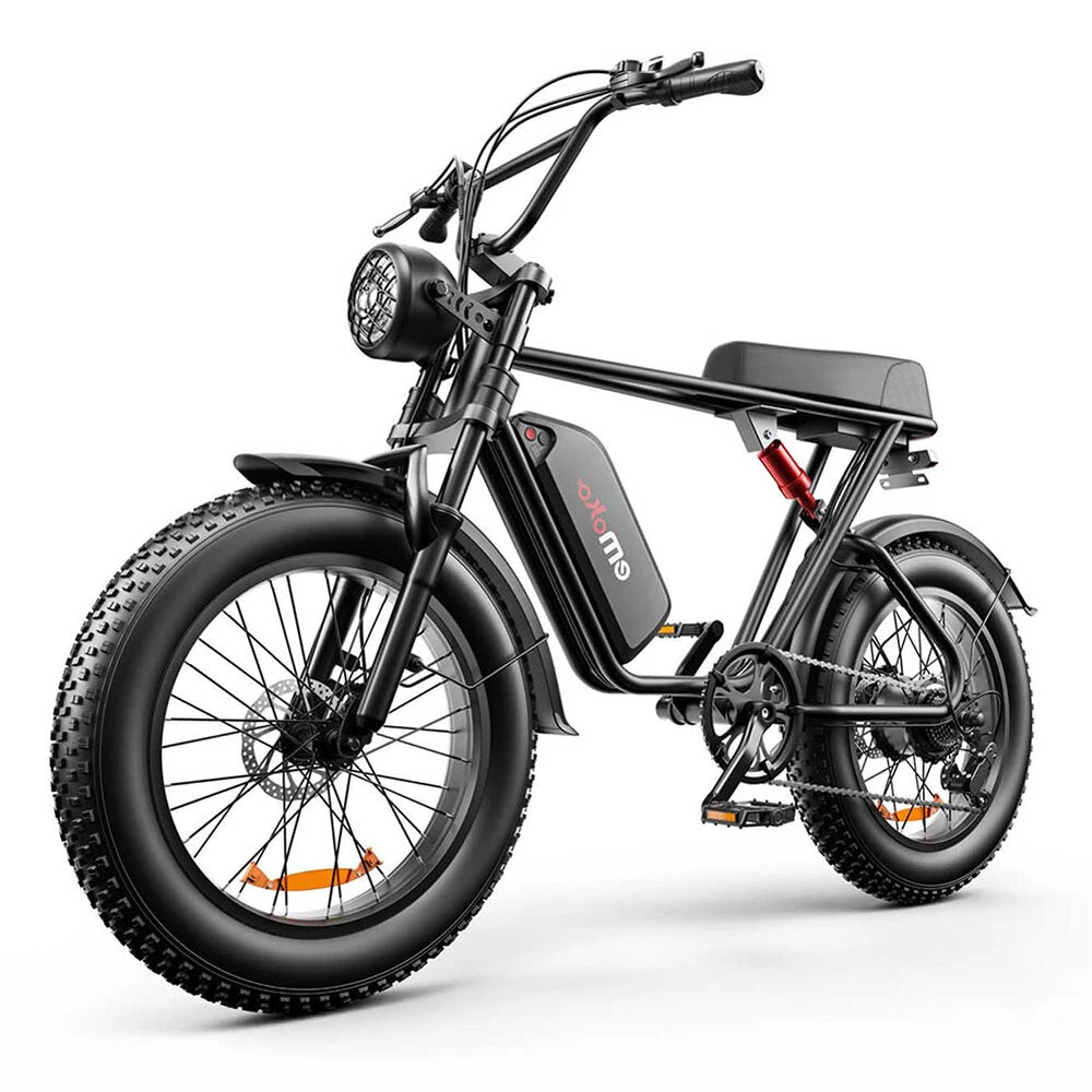 Electric Bike 48V 20AH Battery 1000W Motor Recommended Top Speed 25KM/H 20*4.0inch Tires 80KM Max Range 150KG Max Load Electric Bicycle