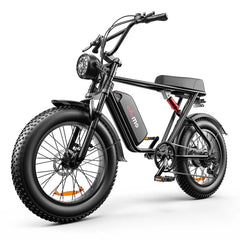 Electric Bike 48V 20AH Battery 1000W Motor Recommended Top Speed 25KM/H 20*4.0inch Tires 80KM Max Range 150KG Max Load Electric Bicycle