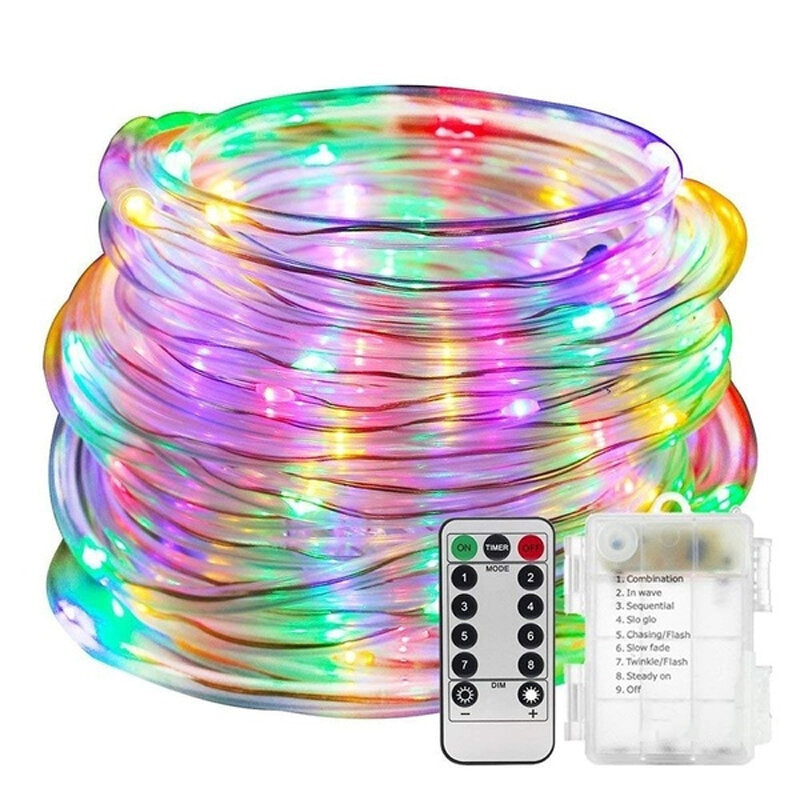 3M USB+Power Supply LED Matte Hose String Light Copper Wire Tube Strip Lamp Remote Control