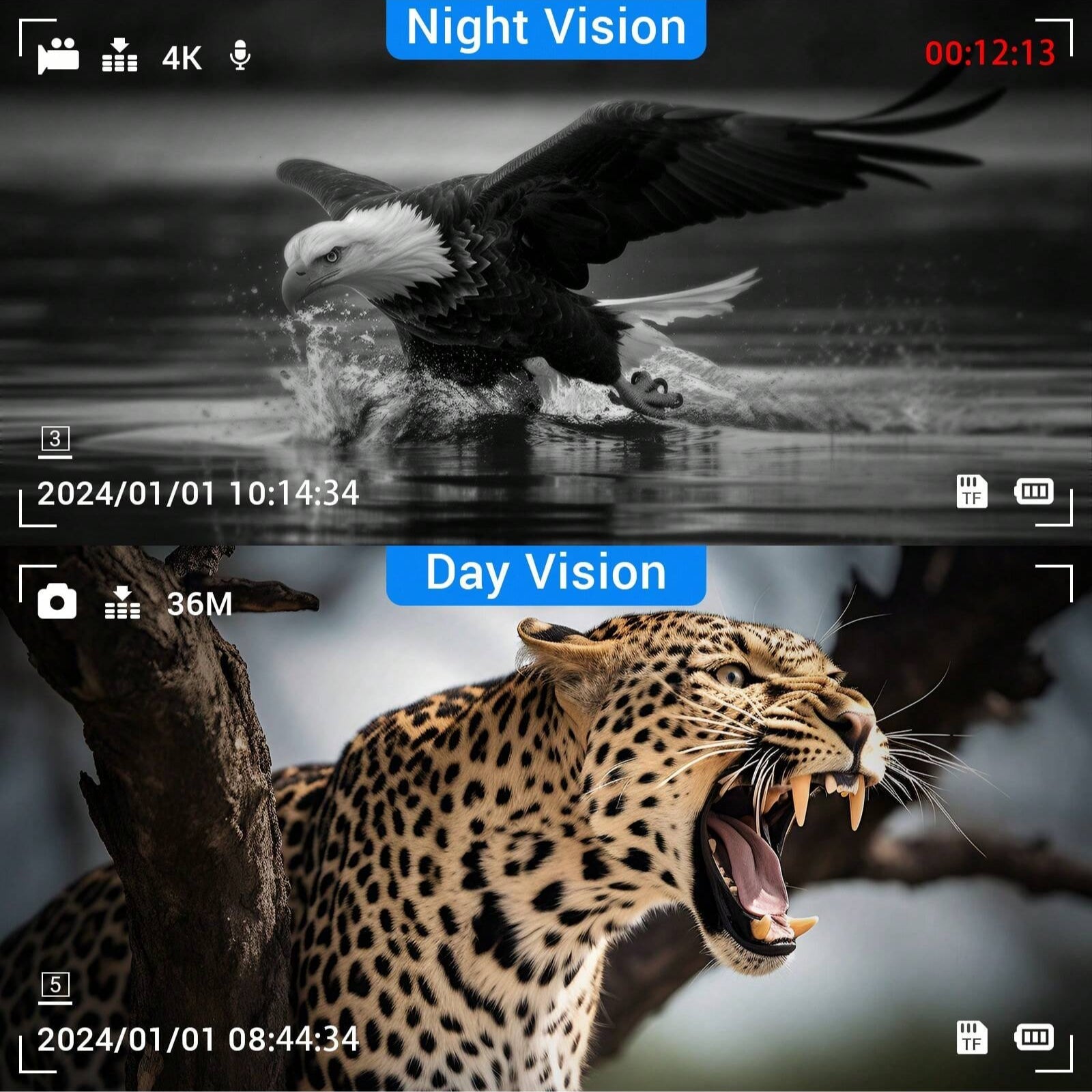 4K Night Vision Goggles with 850NM Infrared, 36MP Photos, 4K Video, 8x Zoom, 1,312ft Range, Waterproof