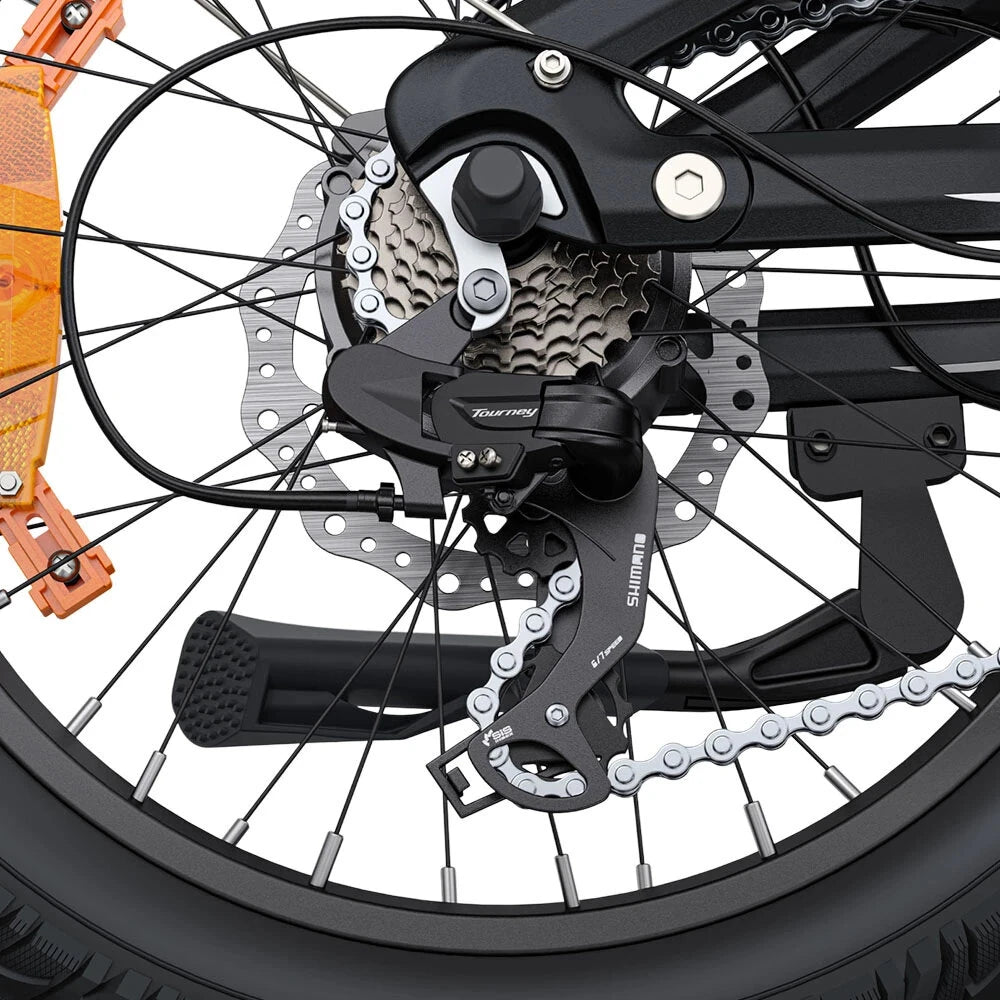 Electric Bicycle 13.5Ah 48V 250W Motor Recommended Top Speed 25KM/H 20 Inches Tire Electric Bike 135km Mileage Max Load 150Kg