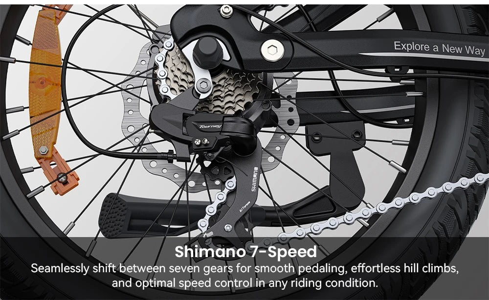 Electric Bicycle 13.5Ah 48V 250W Motor Recommended Top Speed 25KM/H 20 Inches Tire Electric Bike 135km Mileage Max Load 150Kg