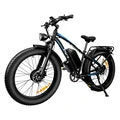 Electric Bike, 48V 25Ah Battery, 1200W*2 Dual Motors, 26 Inch Fat Snow Tires, Top Speed 25KM/H, 80-150KM Long Range, 150KG Max Load Electric Bicycle