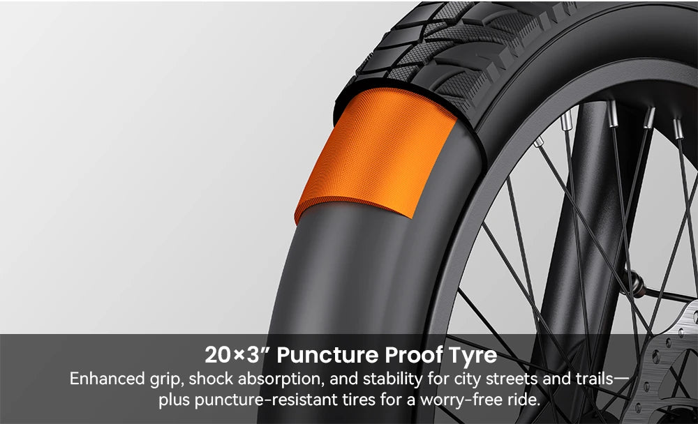Electric Bicycle 13.5Ah 48V 250W Motor Recommended Top Speed 25KM/H 20 Inches Tire Electric Bike 135km Mileage Max Load 150Kg