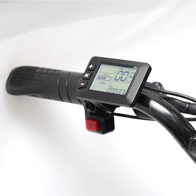 Electric Bike 48V 20AH Battery 1000W Motor Recommended Top Speed 25KM/H 20*4.0inch Tires 80KM Max Range 150KG Max Load Electric Bicycle