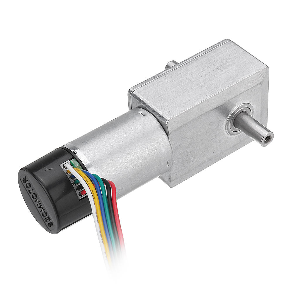 DC 24V Double Shaft Motor Reduction Gear Turbine Worm Self-locking Low Speed Motor