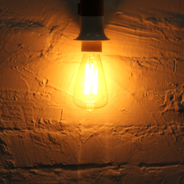 40W Incandescent Bulb 220V ST48 Retro Light Bulb
