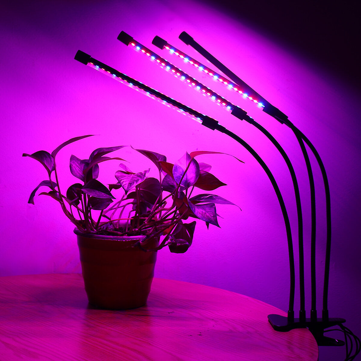 4 Head 40W Full Spectrum LED Grow Light Flexible Pot Plant Flower Vegetable Growing Lamp with Timer Function